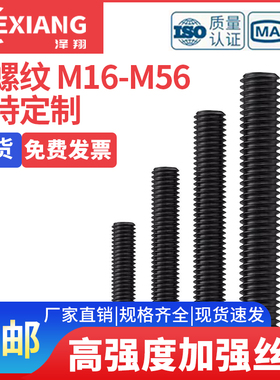 高强度8.8级12.9级1.2米/1.5米加长丝杆全牙通丝螺纹M16M20M24M30