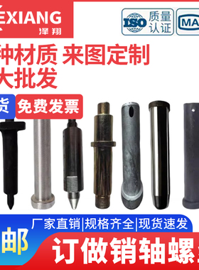 定做销轴螺丝加工定制销子螺栓平头带孔圆柱销穿插销钉定位销肖子