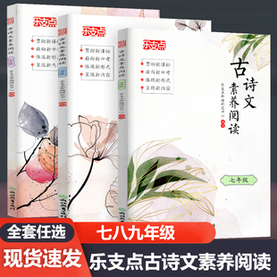 乐支点 古诗文素养阅读七八九年级 初中新课标新中考文言文复习初中古典文学素养提升训练指导书语文诗文阅读素养提升专题训练练习