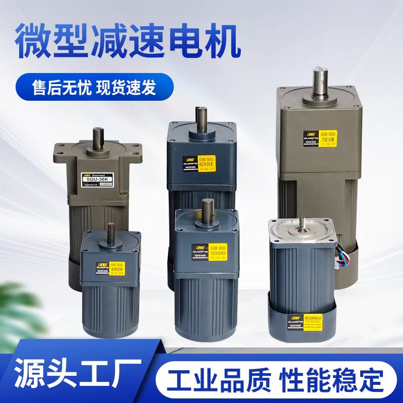 OPG齿轮减速电机微型调速电动马达交流220V流水线 6-120-250-400W