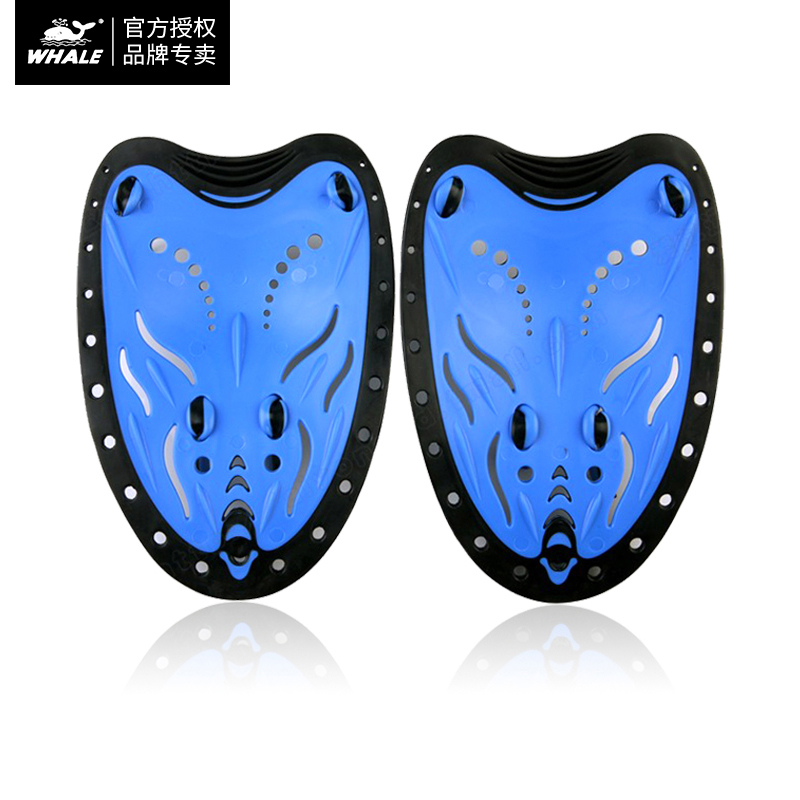 ���㻮ˮ����Ӿװ��������Ůͨ��רҵѵ����ˮ������Ӿ�������