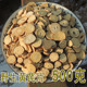 三十年 内蒙野老黄芪大片500g克蒙芪生黄芪片中药材可以免费打粉