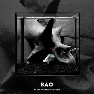 BAO爆氧森林 三角龙恐龙化石斗鱼鱼缸背滤一体式桌面套装造景aqua