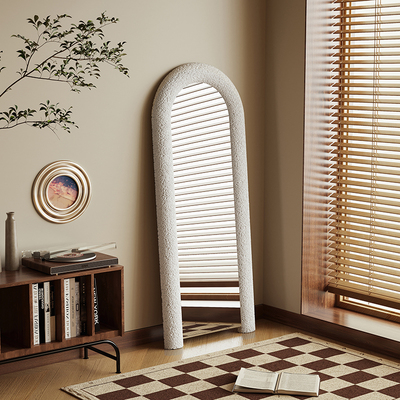 中古试衣镜全身镜落卧室地镜家用轻奢高级镜子泰迪绒高级感穿衣镜