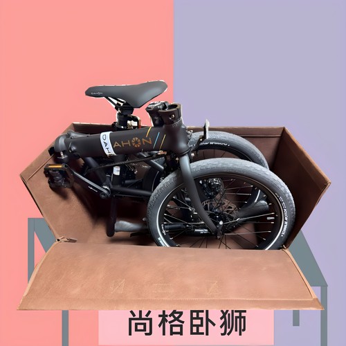 大行412小布AECp10折叠车手提袋