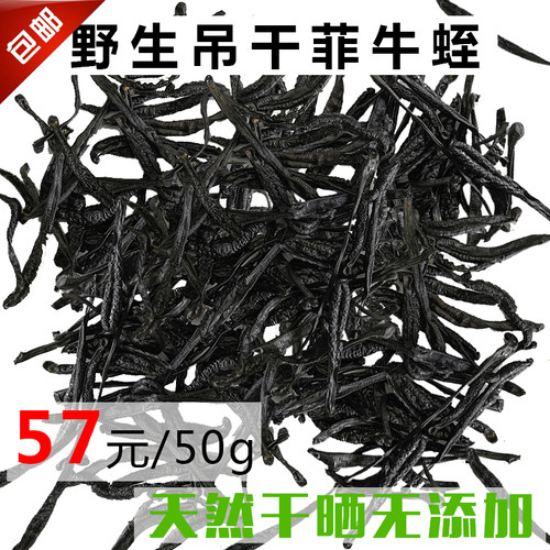 菲牛蛭中药材水蛭素金边蚂蟥干货