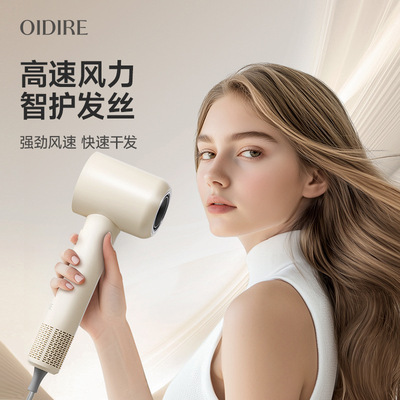 高速电吹风机家用大风力恒温负离子护发速干
