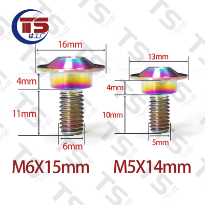 TSM5/M6X15内梅花薄头带台阶