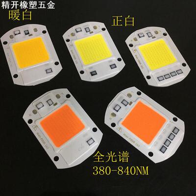 AC220V高压免驱动光源集成灯珠 20W30W50W高光效LED灯珠全光谱COB