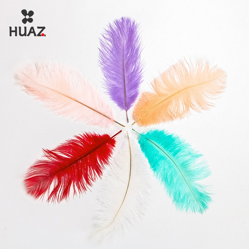 白色鸵鸟羽毛花店花束装饰配件网红花束包装材料包花羽毛,鲜花速递/花卉仿真/绿植园艺,花艺材料,淘宝优惠券,粉丝福利购,淘宝优惠卷