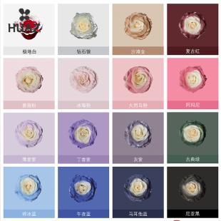 鲜花喷漆喷色剂花雾喷漆碎冰蓝玫瑰花自喷漆染色剂专用喷剂花艺