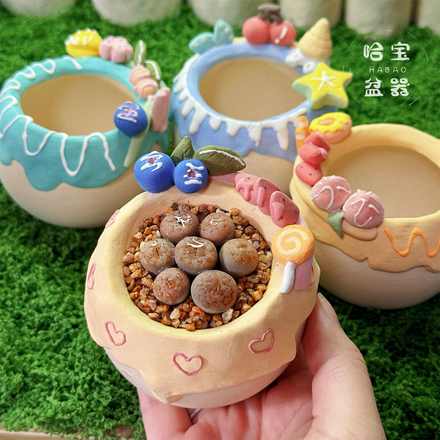 哈宝丨新款素烧盆甜品造型多肉花盆肉锥小老桩透气控形盆一物一拍