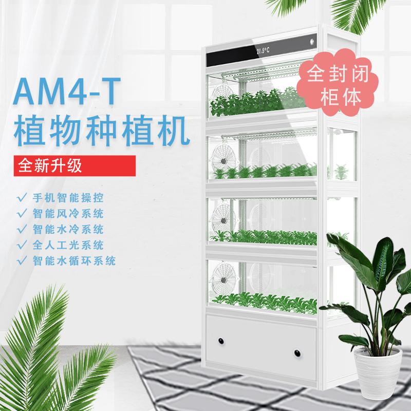 植物水栽培价格 植物水栽培图片 星期三 植物水栽培价格 植物水栽培图片 星期三