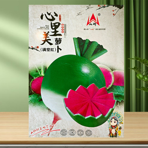 北京蔬菜秋冬季满堂红心里美萝卜