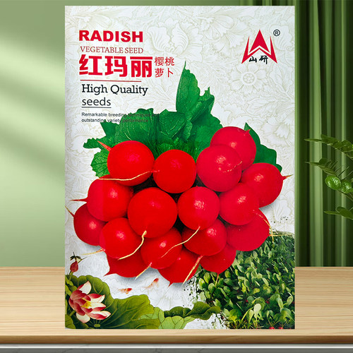蔬菜种子水果四季盆栽樱桃萝卜