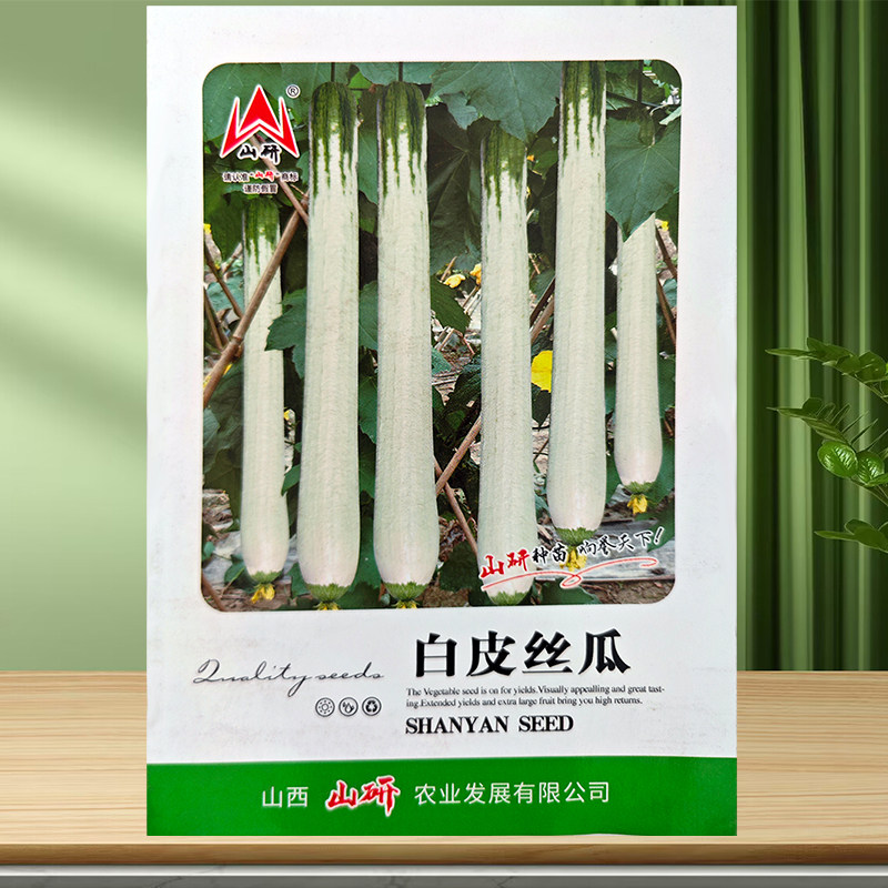 白皮丝瓜种籽春秋季白玉丝瓜种子农家四季早熟大肉丝瓜蔬菜种孑