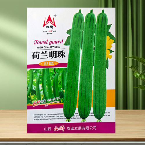蔬菜荷兰耐热抗寒阳台丝瓜种子