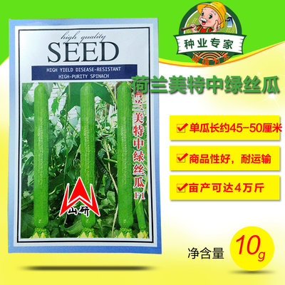 寿光荷兰中绿基地专用蔬菜种子