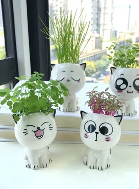 Ceramic Flowerpot Mini Cat Shaped Cartoon Cute Potted Plant
