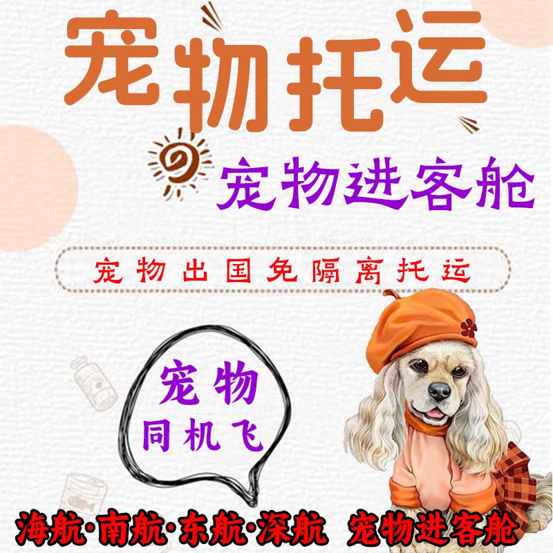 宠物托运随机同行上飞机进客舱手宠物托运
