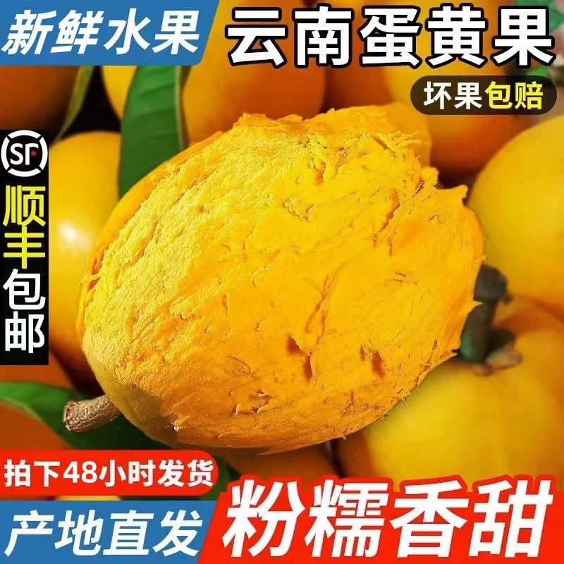 【顺丰速发】云南特产鸡蛋黄果新鲜采摘5斤整箱当季水果现摘现发,水产肉类/新鲜蔬果/熟食,百香果,淘宝优惠券,粉丝福利购,淘宝优惠卷