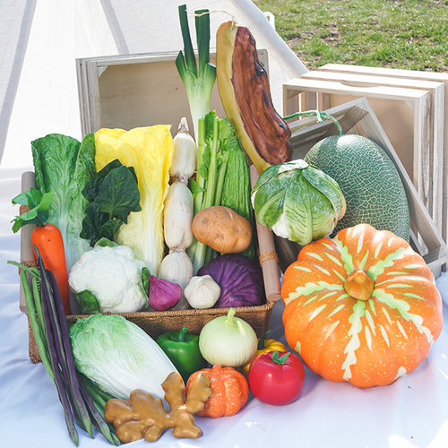 假辣椒萝卜包菜西红柿仿真水果