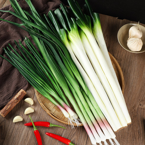 道具模型菡菡工艺仿真大葱模型