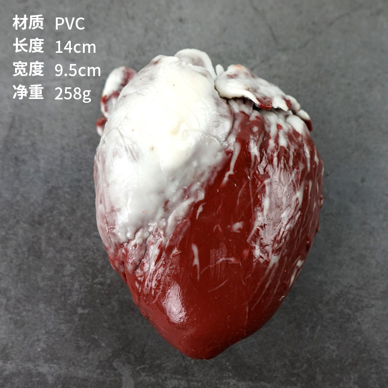 Mô hình thịt bò tươi mô phỏng thịt lợn sống móng giò giả gan lợn tim thịt miếng sườn bò ức lưỡi lợn đạo cụ