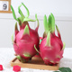 仿真火龙果假水果模型橱柜装 饰水果店摆件摆拍玩具 饰摆设摄影装