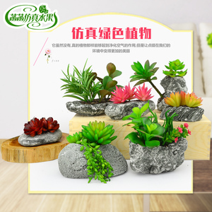 仿真多肉植物小盆景 假盆栽模型假绿植客厅桌面摆件办公室装饰