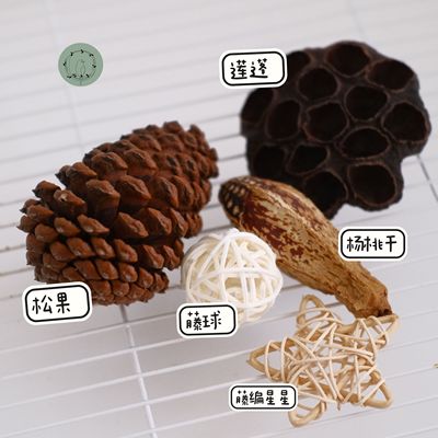 牡丹玄凤虎皮幼稚鹦鹉干果包啃咬