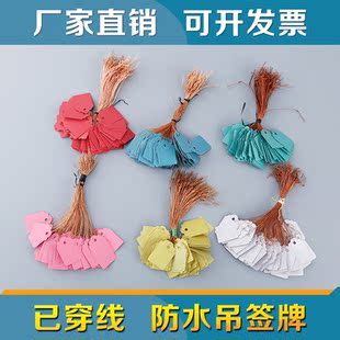 园艺吊签牌 PVC塑料防水标签牌 植物花卉吊牌带绳挂牌 园林标识牌
