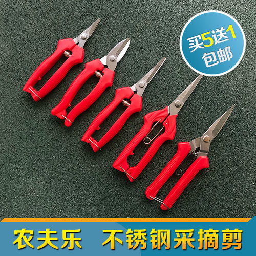 农夫乐采摘剪 长短翘头采果疏花疏果剪芽切剪 不锈钢桔剪修枝剪