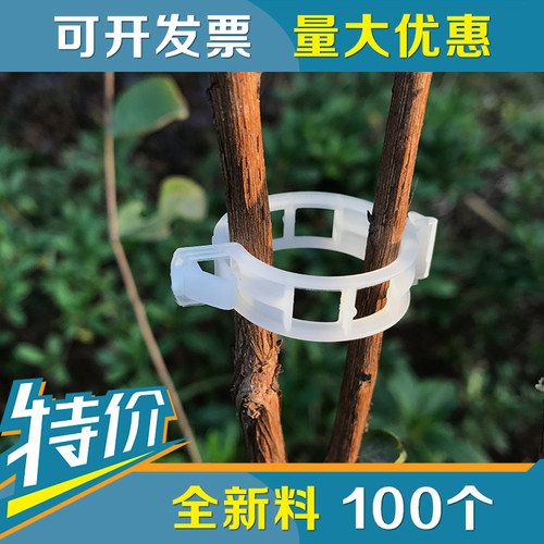 园艺工具植物扶蔓夹吊蔓夹蔬果藤蔓固定夹塑料绑蔓夹绑枝夹吊秧夹 - 封面