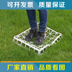 厂家直销耐高温组培筐 PP中转盘组培专用托盘 育苗盘 实验周转框