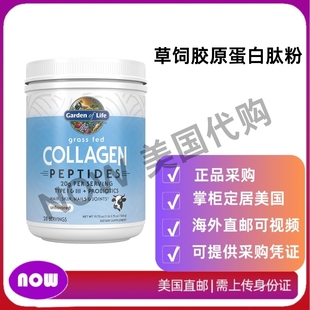Garden 无味胶原蛋白粉 草饲胶原蛋白肽粉 560g Life 美国直邮
