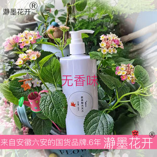 瀞墨花开无香味氨基酸洗发水500ml无硅油无味温和无刺激男女可用