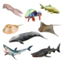 Mô phỏng động vật biển mô hình sinh vật dưới nước đồ chơi cá voi xanh khổng lồ răng cá mập hippocampus mực khổng lồ cua bọ cạp cá quỷ - Đồ chơi gia đình đồ chơi nấu ăn cho bé