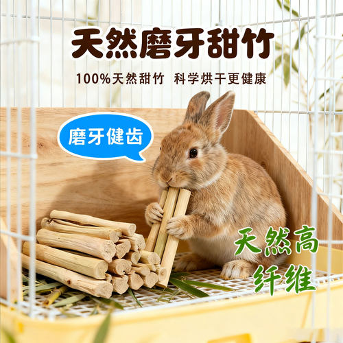 兔子甜竹磨牙棒龙猫豚鼠荷兰猪