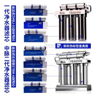 中脉颐芯牌净水器滤芯水机活性炭PP棉巴马泉高磁原装复合ZMBJ-03