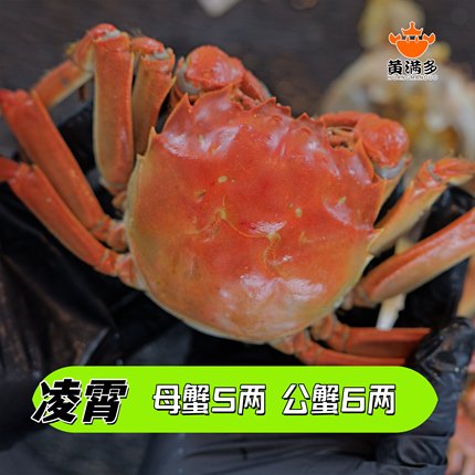 【我强故我在】高精尖 母5两 公蟹6两（净重±15g)