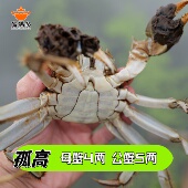 净重±15g 母蟹4两 公母搭配天花板 公蟹5两