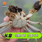 公母黄金搭档 高精尖 公蟹4两 母蟹3两 净重±15g