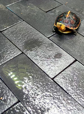 黄缘龟专用造景装饰砖安缘垫材半水龟缸乌龟箱吸水保湿手工小地砖