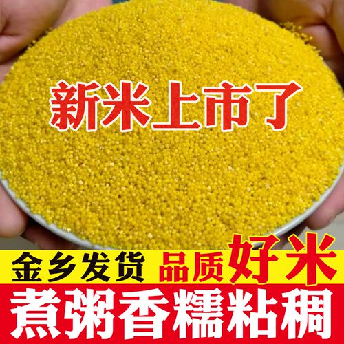 26年新小米山东金乡特产金谷小米