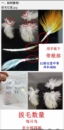 验卡测公母验性别牡丹玄凤大头虎皮玄凤鹦鹉鸽子等各种鸟禽类