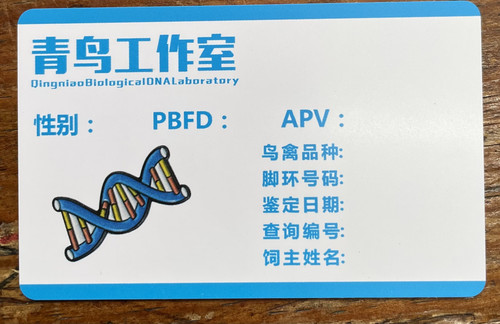 测公母验性别牡丹玄凤大头虎皮玄凤鹦鹉鸽子等各种鸟禽类验卡