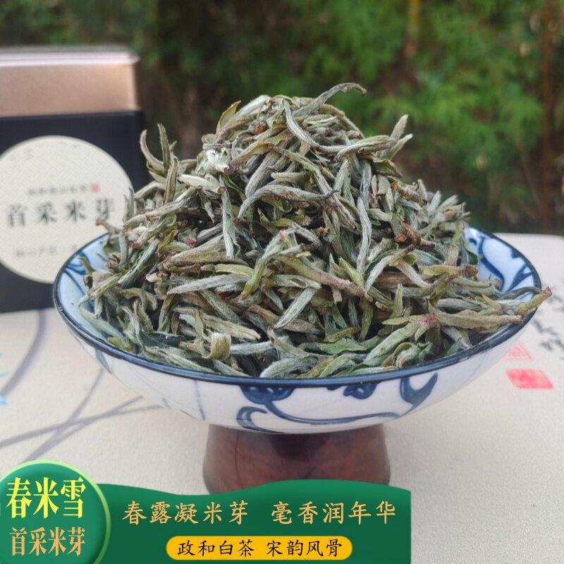 政和白茶白毫银针明前首采米芽2026年春茶上新高山区白茶兵叔茶礼