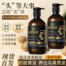 北京同仁堂黑灵芝何首乌生姜洗发水滋养发根乌黑防脱控油去屑止痒