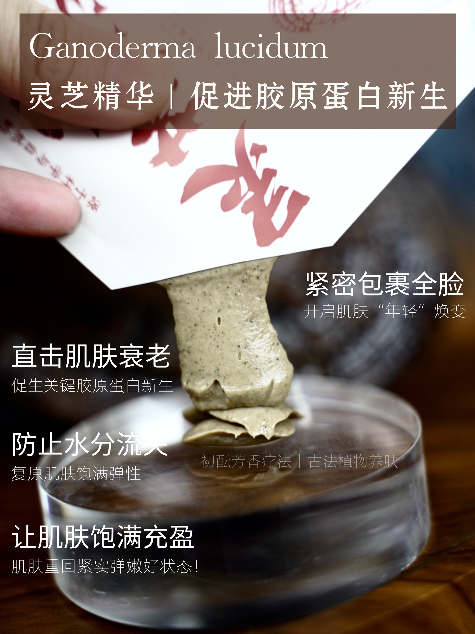 (抗纹)灵芝面膜泥 涂抹式面膜 k衰k氧化紧皮 隐形皱纹精华面膜10g